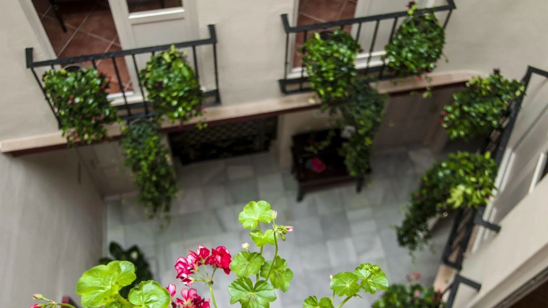 Hostal Callejon Del Agua Seville 2*,  Spain