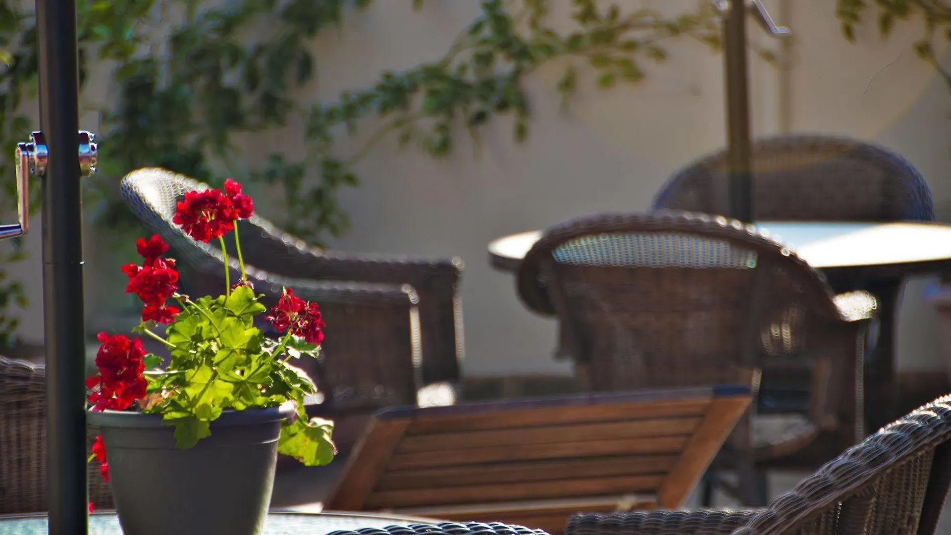 Hostal Callejon Del Agua Seville Guest house